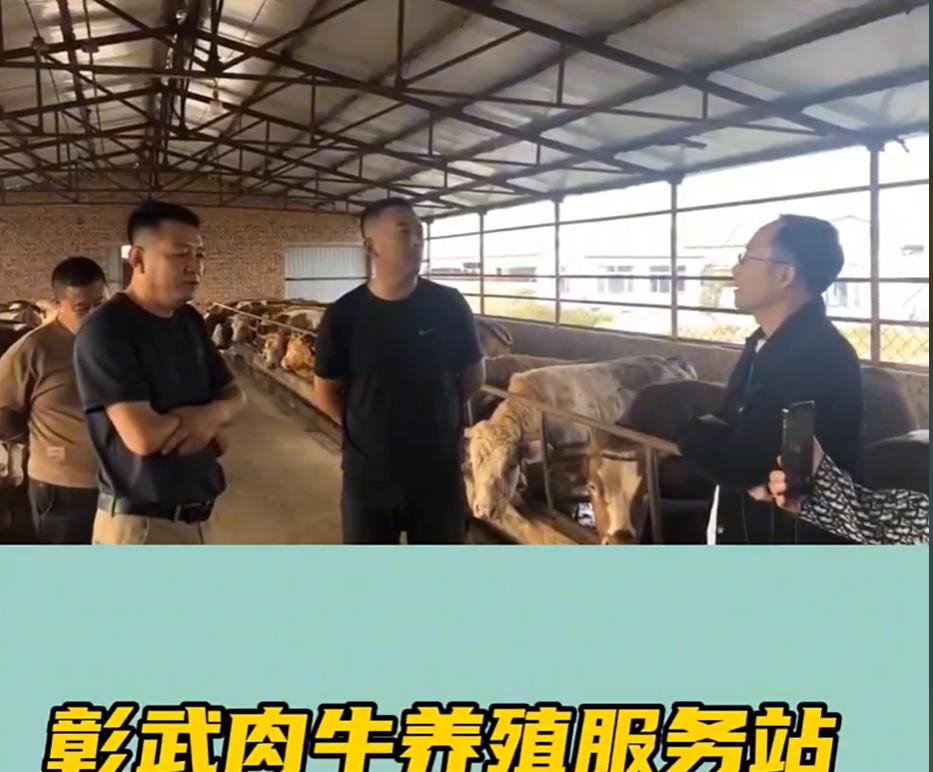 信任是最大的激励授权是关键的承诺-----庞树来