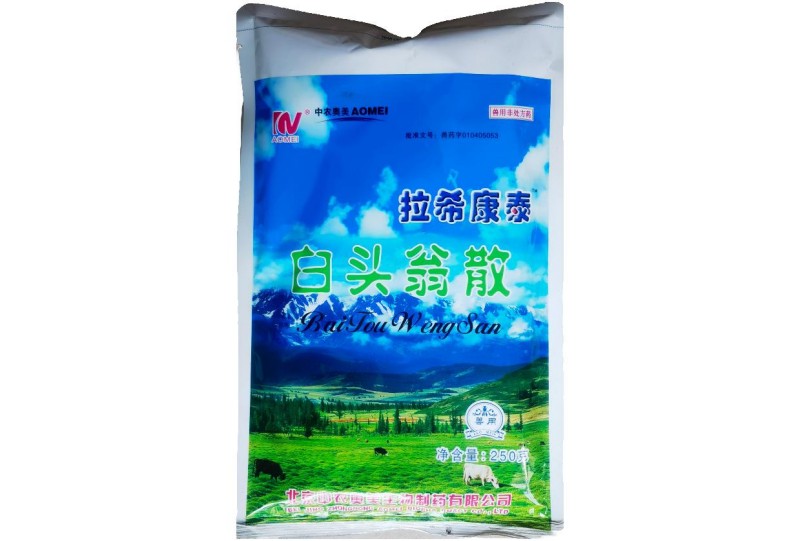 白头翁散下痢脓血宁