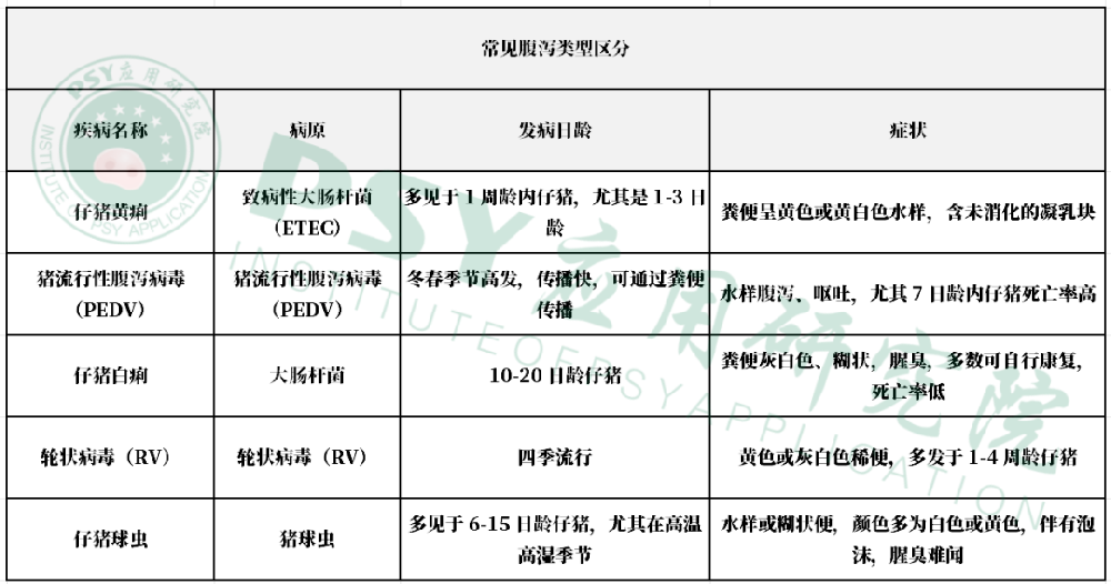 产房仔猪腹泻：从诊断到防控的标准化流程