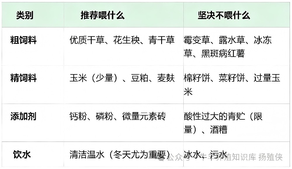 母羊怀孕后期千万别喂这3种料，当心胎儿不保！